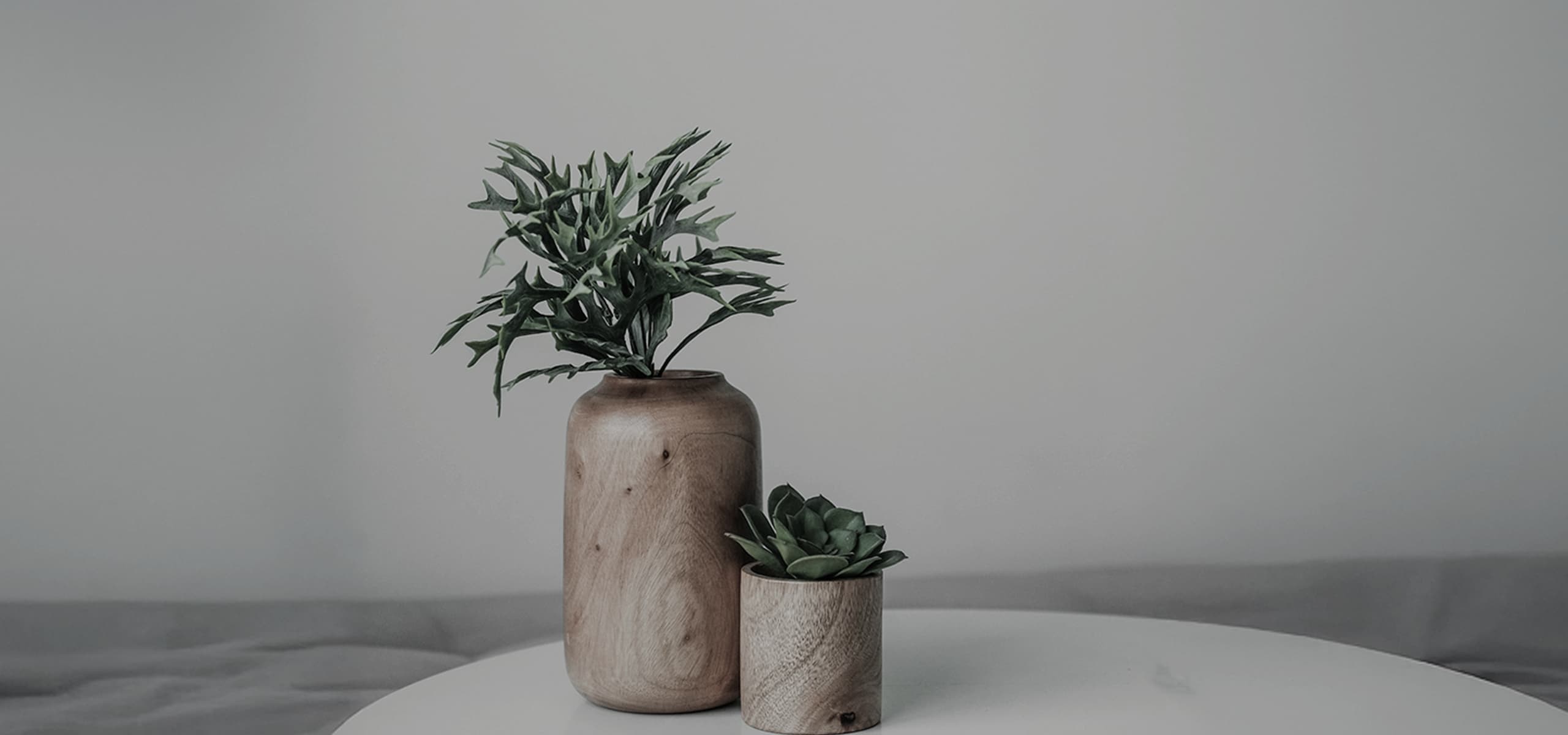 木製の花瓶と緑の植物のディスプレイ