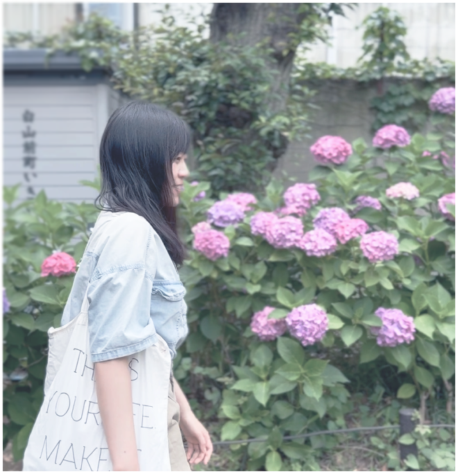 一名女子走在盛開的繡球花旁